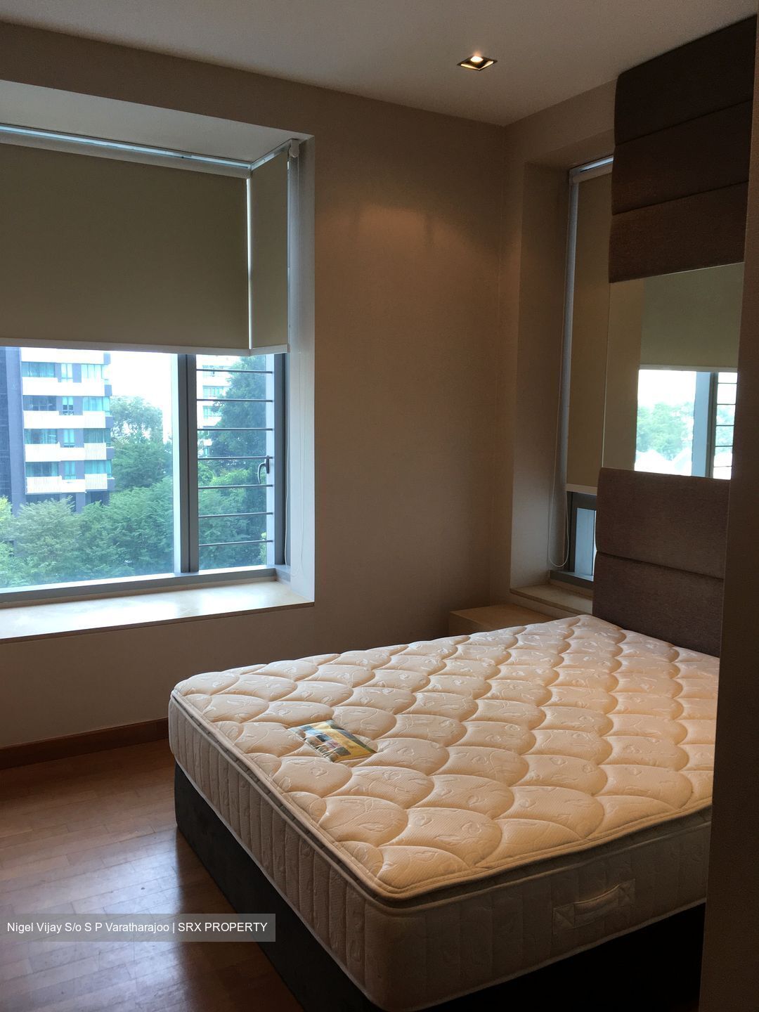 Residences @ Evelyn (D11), Condominium #292978231